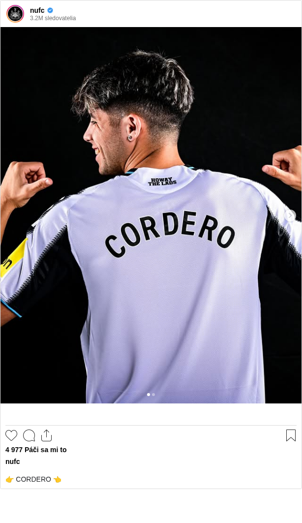 

👉 CORDERO 👈