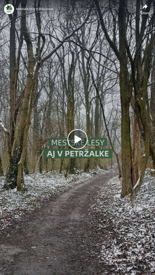 Mestské lesy v Bratislave: 