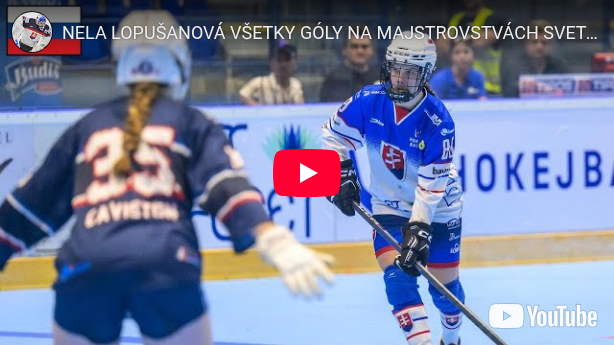 Slovenský Hokej: 