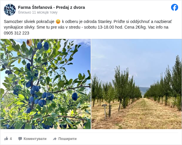 Farma Štefanová - Predaj z dvora: Samozber sliviek pokračuje 😊 k odberu je odroda Stanley. Príďte si oddýchnuť a nazbierať vynikajúce slivky. Sme tu pre vás v stredu - sobotu 13-18.00 hod. Cena 2€/kg. Vac info na 0905 312 223


