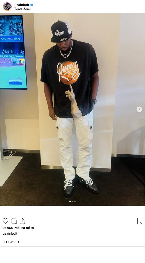 

G O W I L D