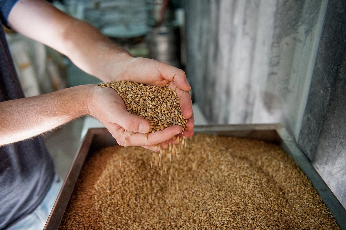 Malt from Trnava wins EU protected status, cementing Slovakia's agricultural edge