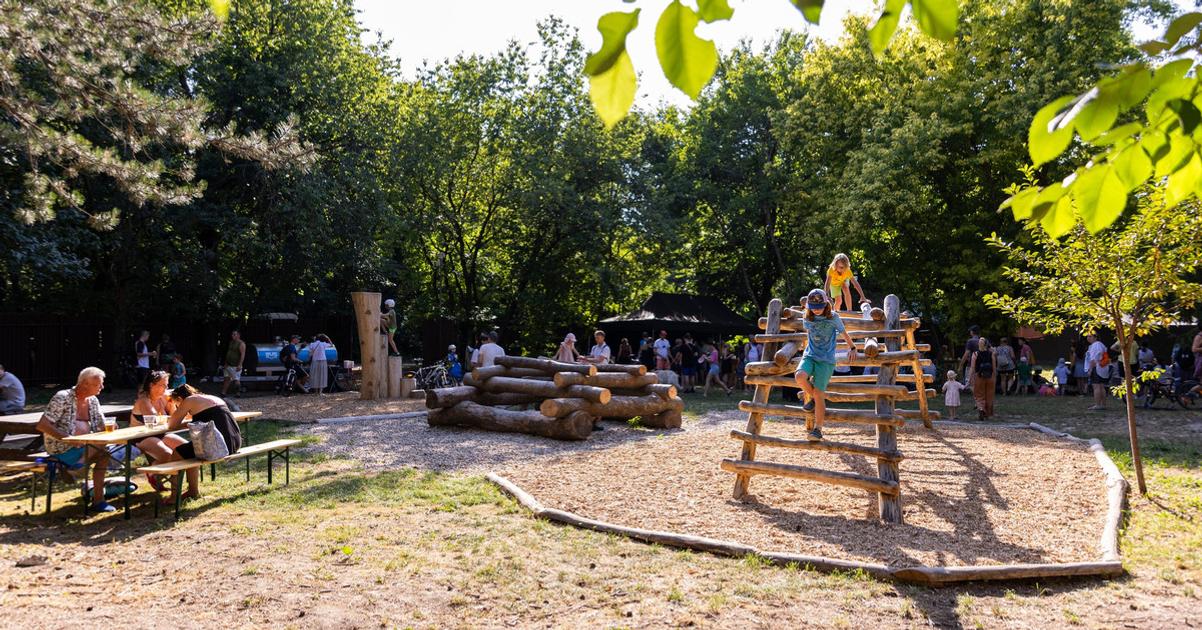 Bratislava revives historic woodland as community oasis in Petržalka
