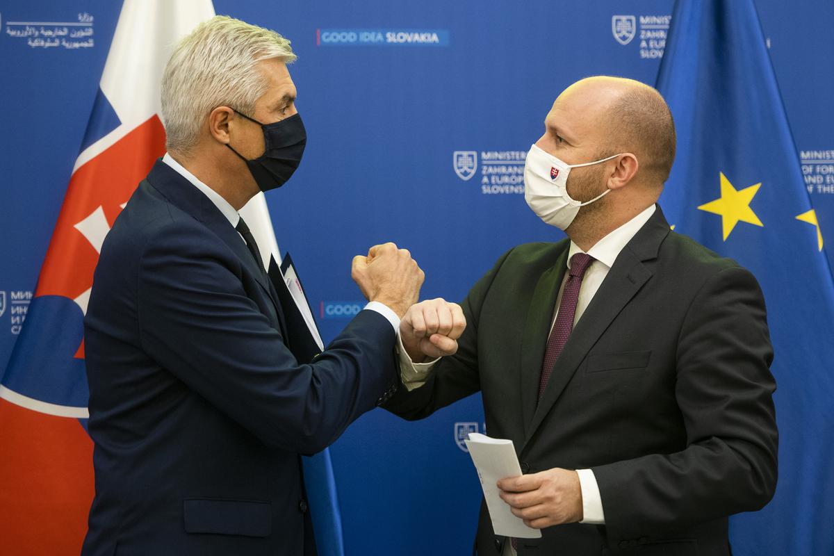 Ivan Korčok and Jaroslav Naď presented Security and Defence Strategy.