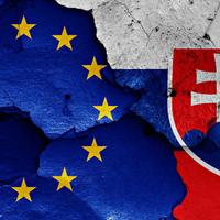 Nefunkčná inštitúcia EÚ na Slovensku má nového šéfa