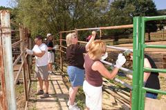 Painting a fence with other volunteers is a great way to build team spirit. 