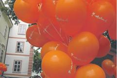 Dutch Days were celebrated in Bratislava.