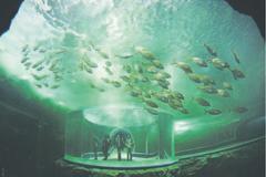 The Korean city of Yeosu is currently hosting Expo 2012, under the theme "The Living Ocean and Coast"