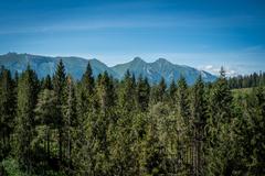 Some higher, some lower. Laser measurements prove previous heights of Tatra peaks incorrect