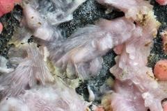 Rare mineral discovered in eastern Slovakia
