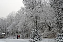 Tourists walk along the road in Tatranská Lomnica in the High Tatras on Saturday, November 19, 2022.