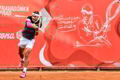 Alex Molčan