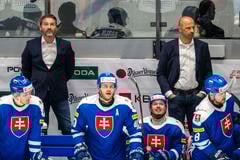Reprezentačný tréner Vladimír Országh (vľavo) a  jeho asistent Ján Pardavý na lavičke.