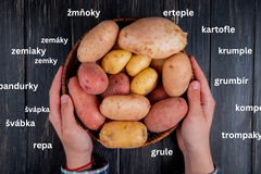 The fruit of Slovak soil, the potato, forms the foundation of this guide. 