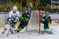 V hokejovej extralige sa menia pravidlá, bude menej cudzincov a nevypadne sa priamo