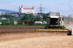 Harvest in Berg, Austria.