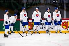 V nominácii Slovenska na MS chýba z hráčov pôsobiacich v Štokholme trio Faško-Rudáš, Čajkovič a Romaňák