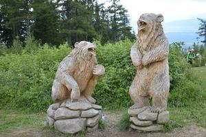 Bear Days 2016