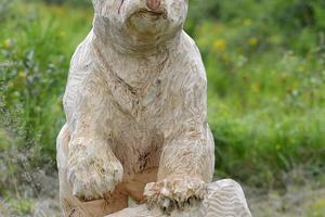 Bear Days 2016