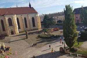 The storm toppled trees in the Main Street in Prešov