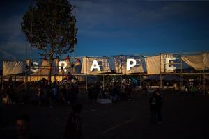 GRape festival