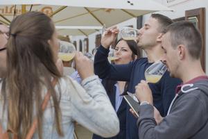 Tasting burčiak