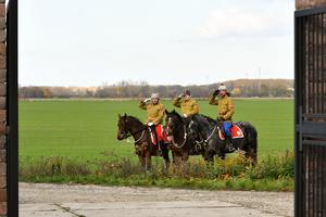 Members of the historical 2nd Mounted Regiment of the Siberian Czechoslovak Legionnaires during the memorial event marking the veterans of WWI, WWII and victims of all wars at the war cemetery in Petržalka-Kopčany.