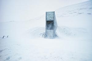 World Gene Bank in Spitsbergen, Norway