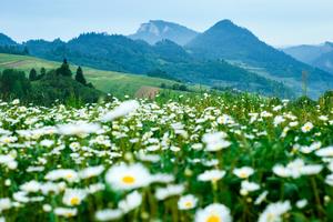Nothern Spiš Pieniny