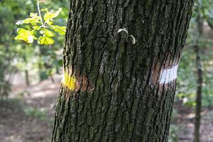 Marking the border between the zones.