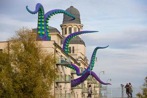 Filthy Luker & Pedro Estrellas: Octopus