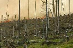 The fire erupted near the village of Tatranská Polianka.