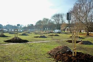 The first community orchard in Bratislava is growing in Petržalka.
