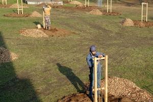 The first community orchard in Bratislava is growing in Petržalka.