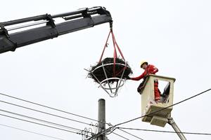 Relocating the stork nest in Chocholná-Velčice.