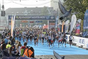 Runners at the start.