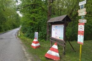 The cycle path near Moravský Svätý Ján follows the Morava River.