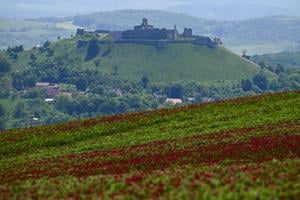 На задньому плані - руїни замку Branč.