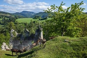Sklabiňa Castle.