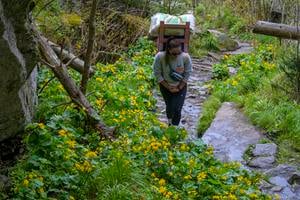 The Juraj Petranský Memorial, also known as Nosičská Stovka, is a challenge for professional and amateur porters that carry loads to mountain huts.