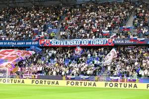Slovak fans at the Tehelné Pole stadium..