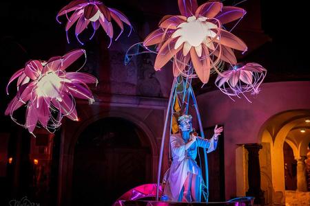Phoenix Garden by the theater V.O.S.A. will bring singing and acrobatics to Bratislava.