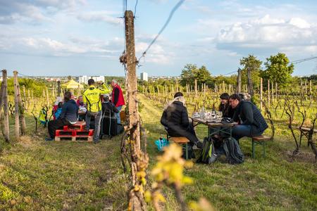The vineyard Široké in Vajnory.