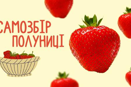 Сезон полуниці 2024