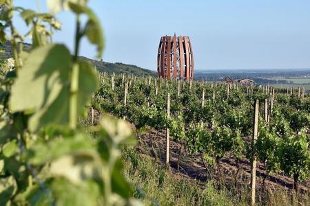 In this region, everyone is happy. Entrepreneurs earn money, cyclists savour wine.
