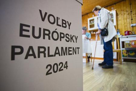 A polling station in Martin on June 8, 2024.