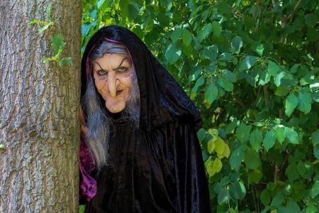 Slovak words for ugly often have supernatural overtones. 