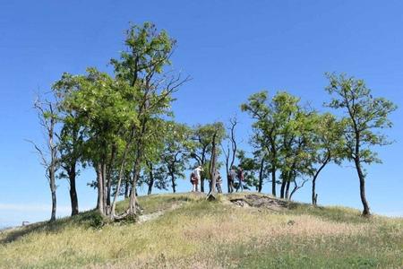 The site of the Holíč gallows.