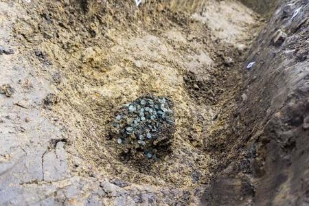 More than 500 individual silver coins have been discovered in Veľký Šariš, eastern Slovakia.