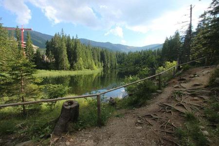 Vrbické pleso в Деменівській долині
